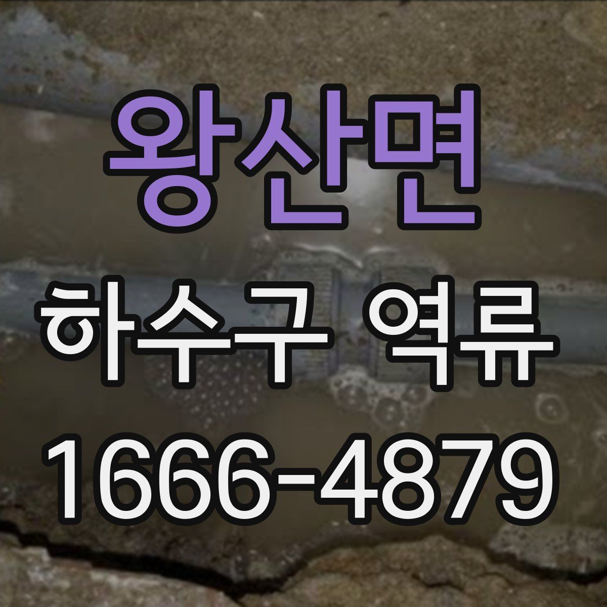 왕산면 하수구 역류