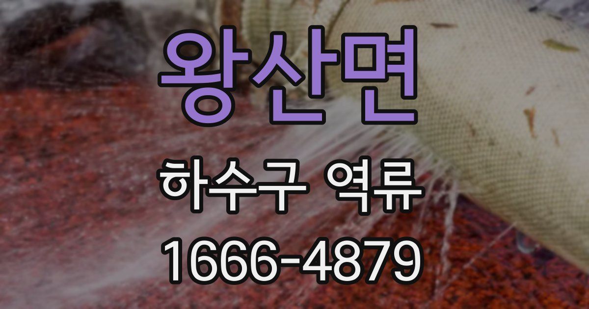 왕산면 하수구 역류