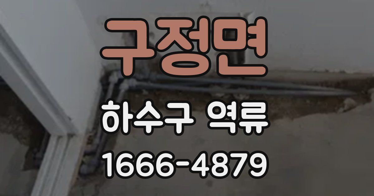 구정면 하수구 역류