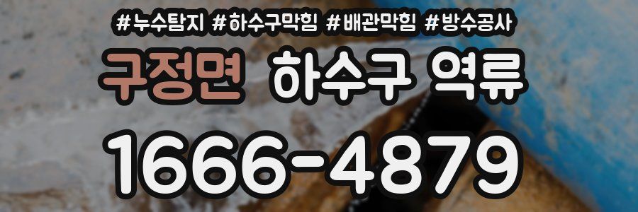 구정면 하수구 역류