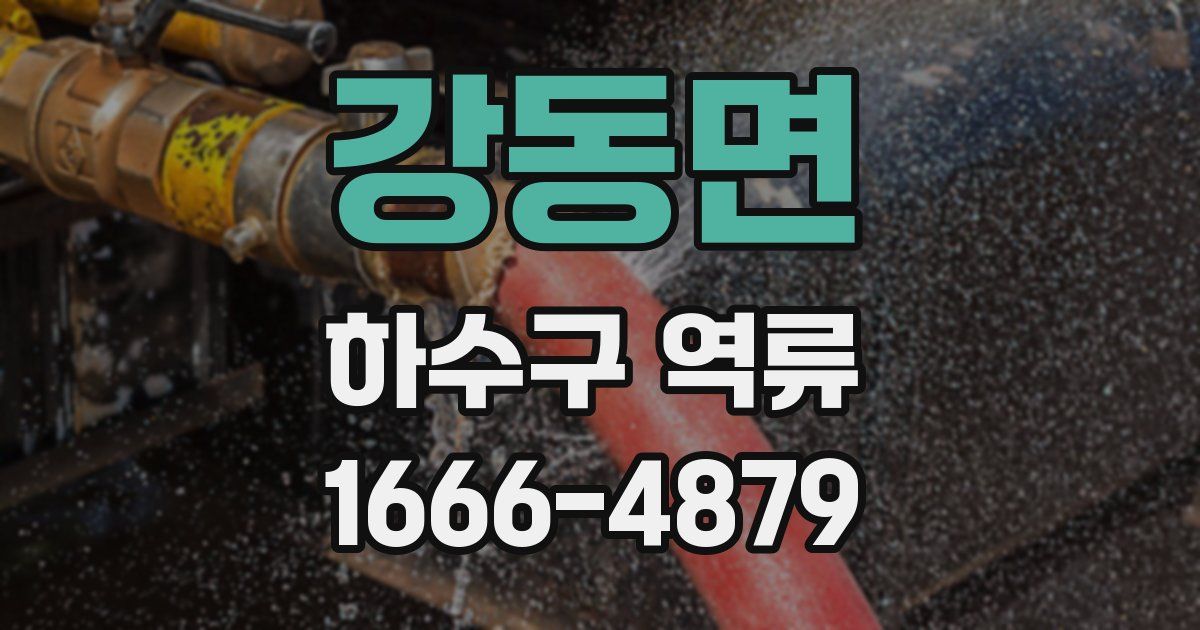 강동면 하수구 역류