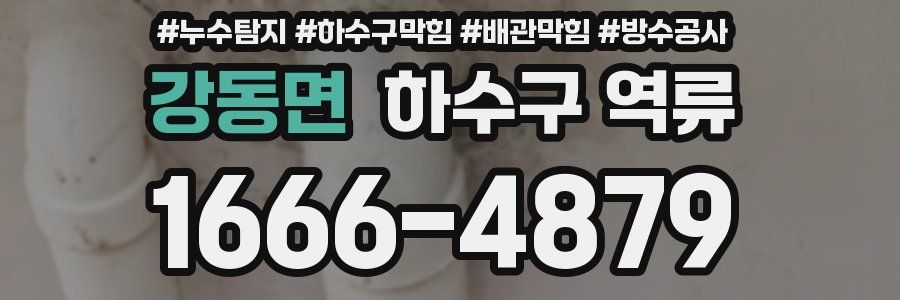 강동면 하수구 역류