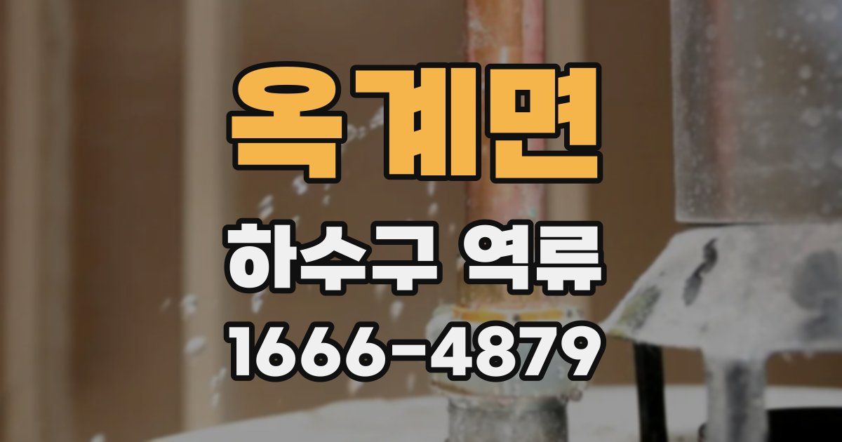 옥계면 하수구 역류