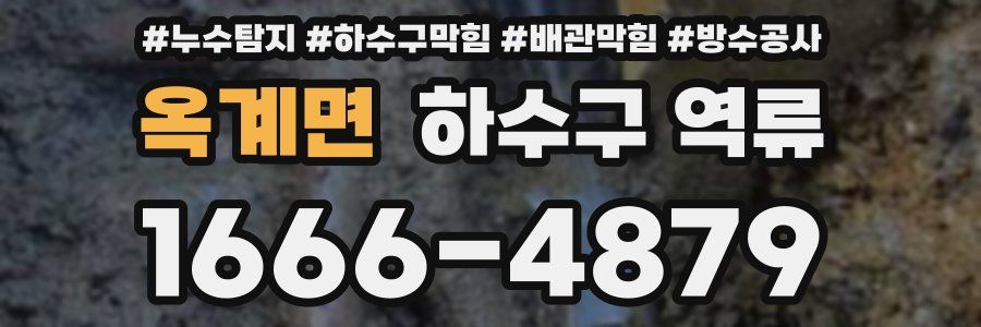 옥계면 하수구 역류