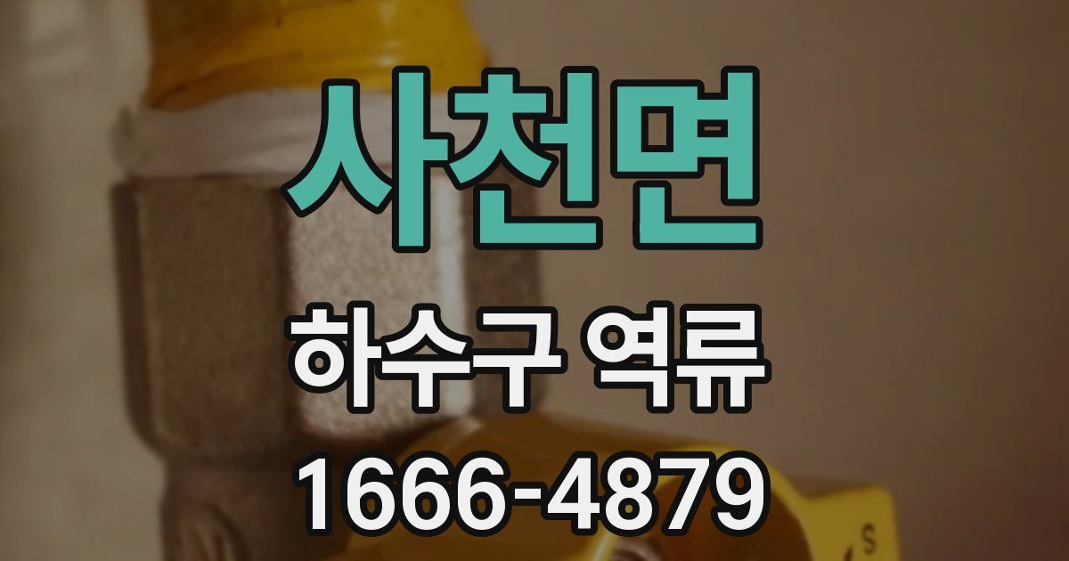사천면 하수구 역류
