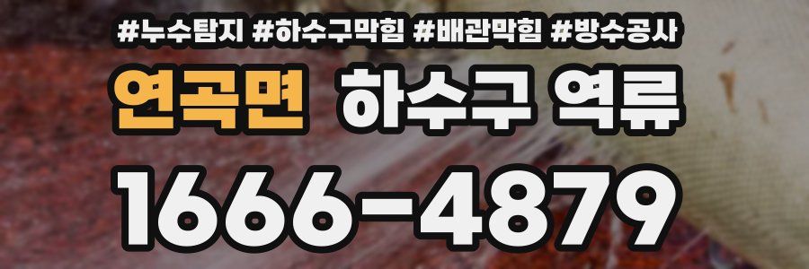 연곡면 하수구 역류