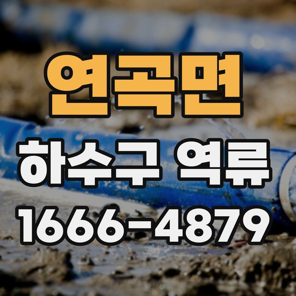연곡면 하수구 역류