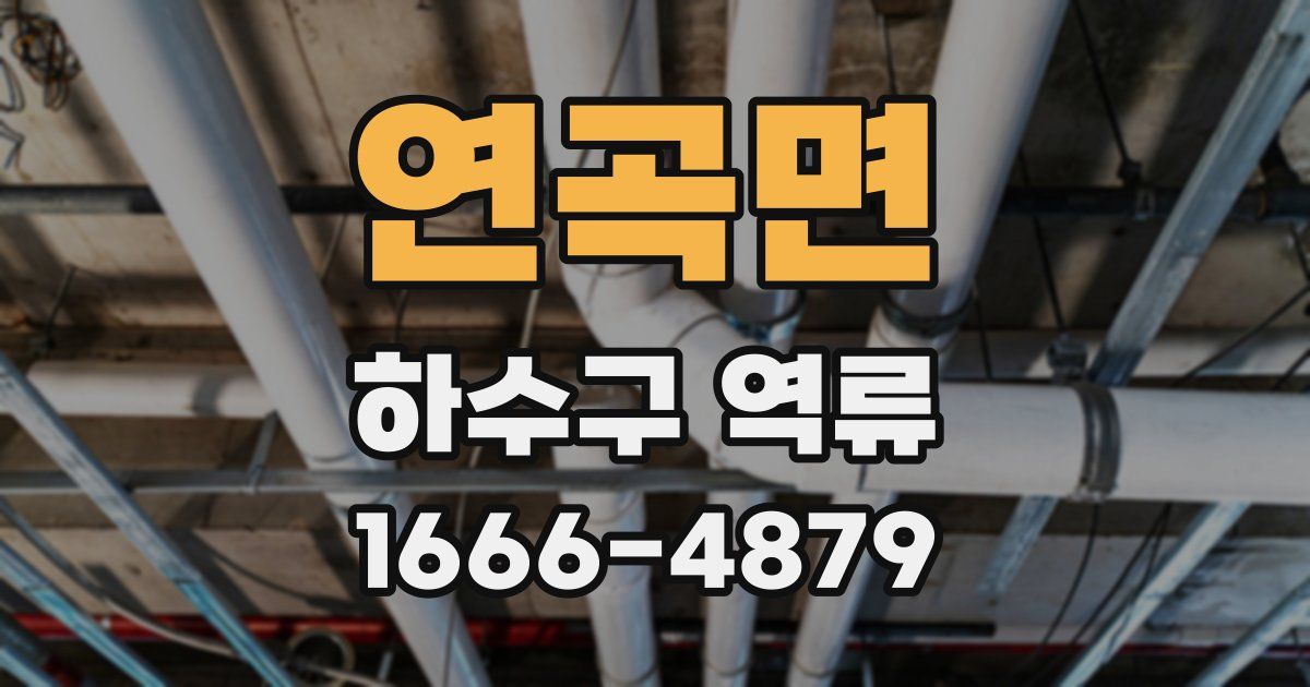 연곡면 하수구 역류