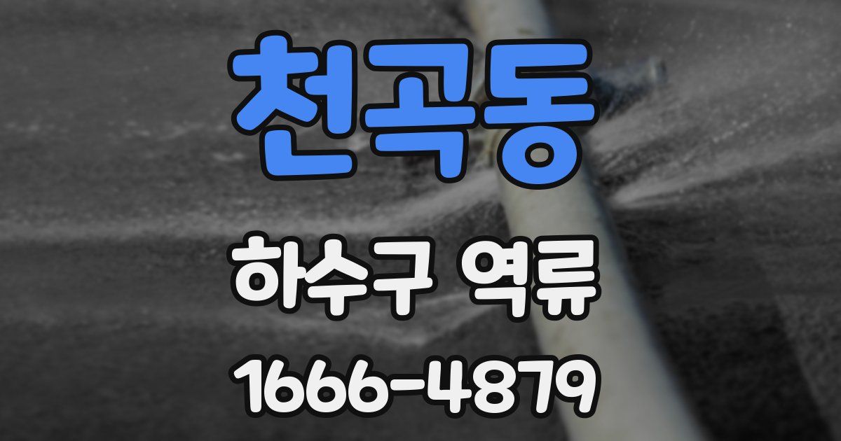 천곡동 하수구 역류