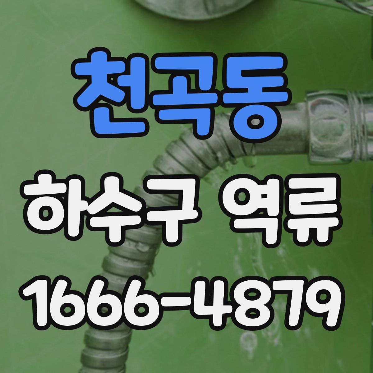 천곡동 하수구 역류