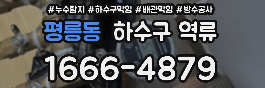 평릉동 하수구 역류