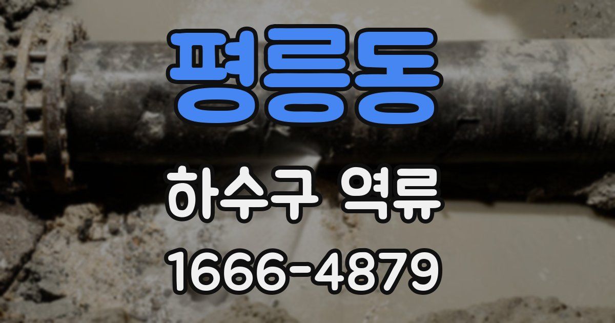 평릉동 하수구 역류