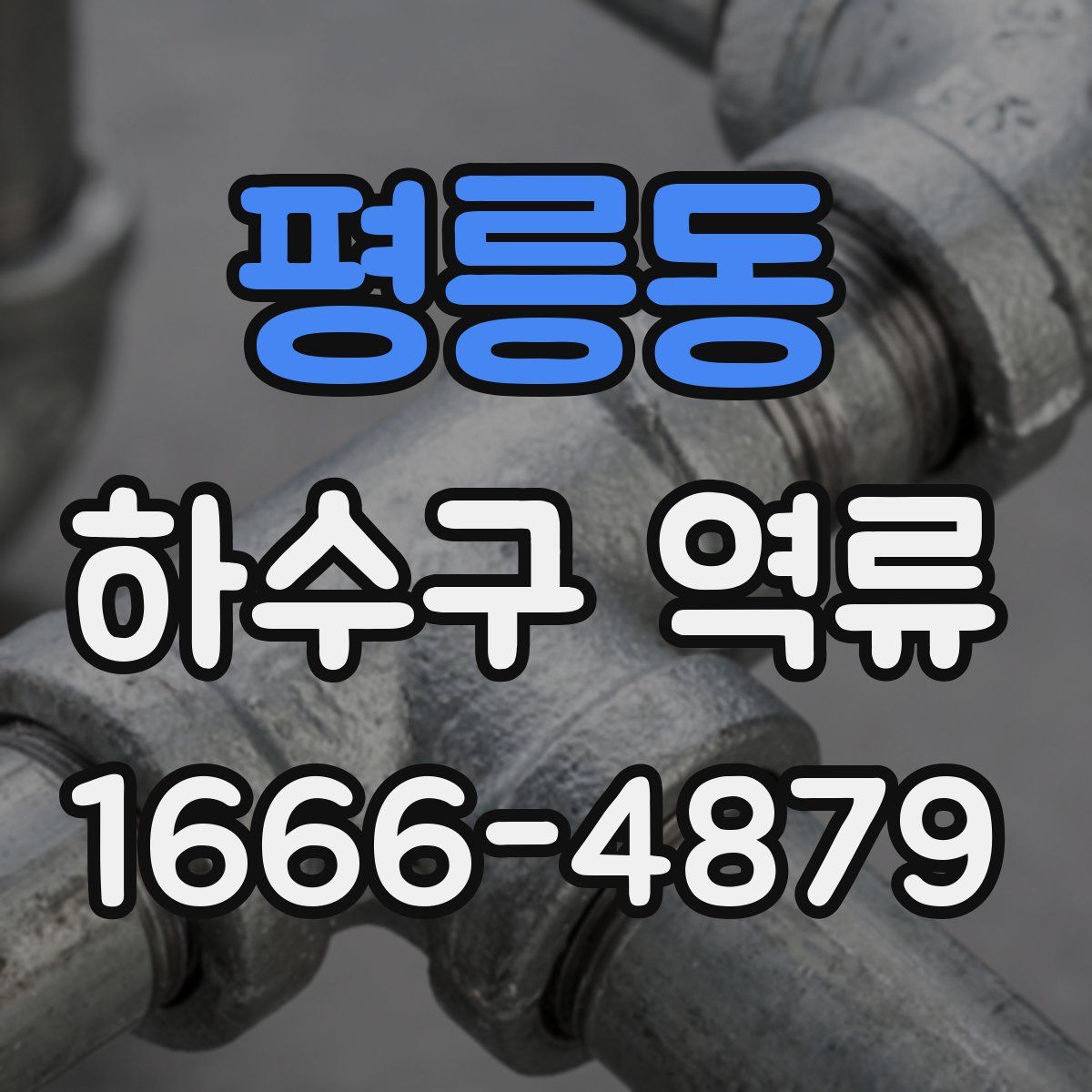 평릉동 하수구 역류