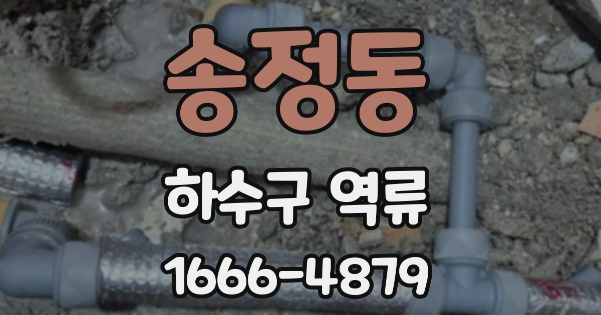 송정동 하수구 역류