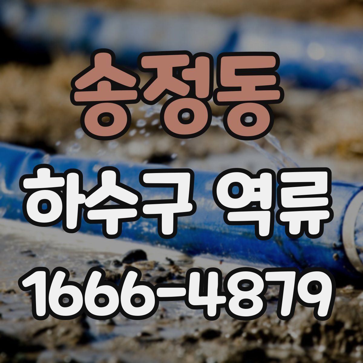 송정동 하수구 역류