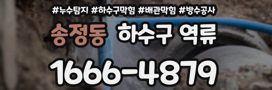 송정동 하수구 역류