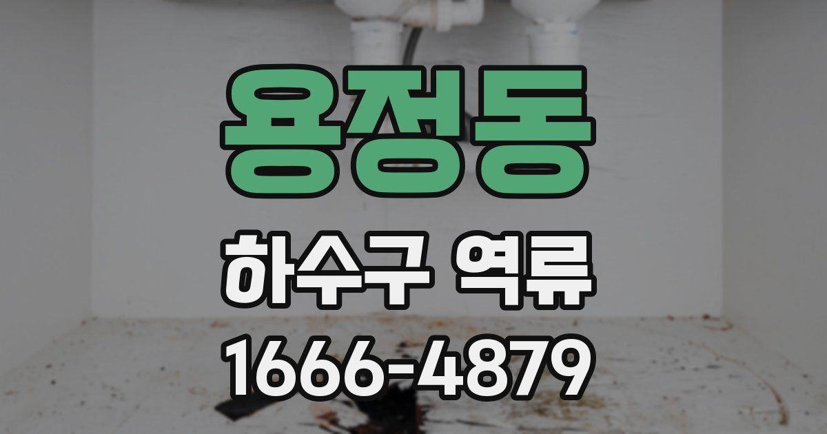 용정동 하수구 역류