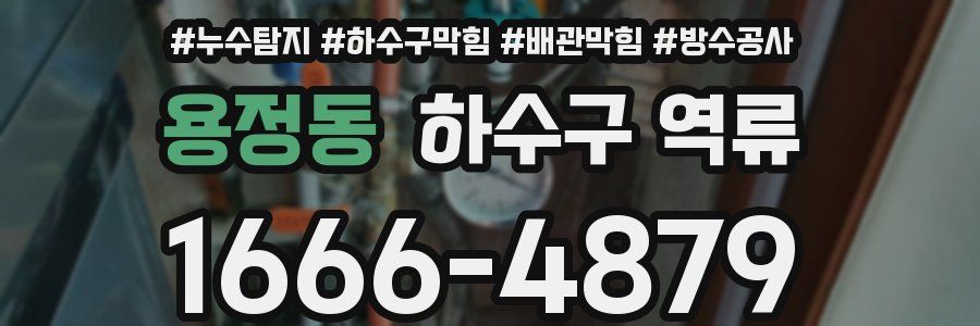용정동 하수구 역류