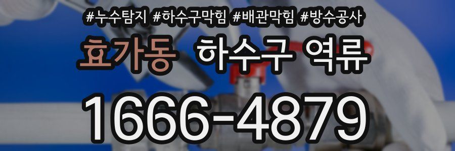효가동 하수구 역류