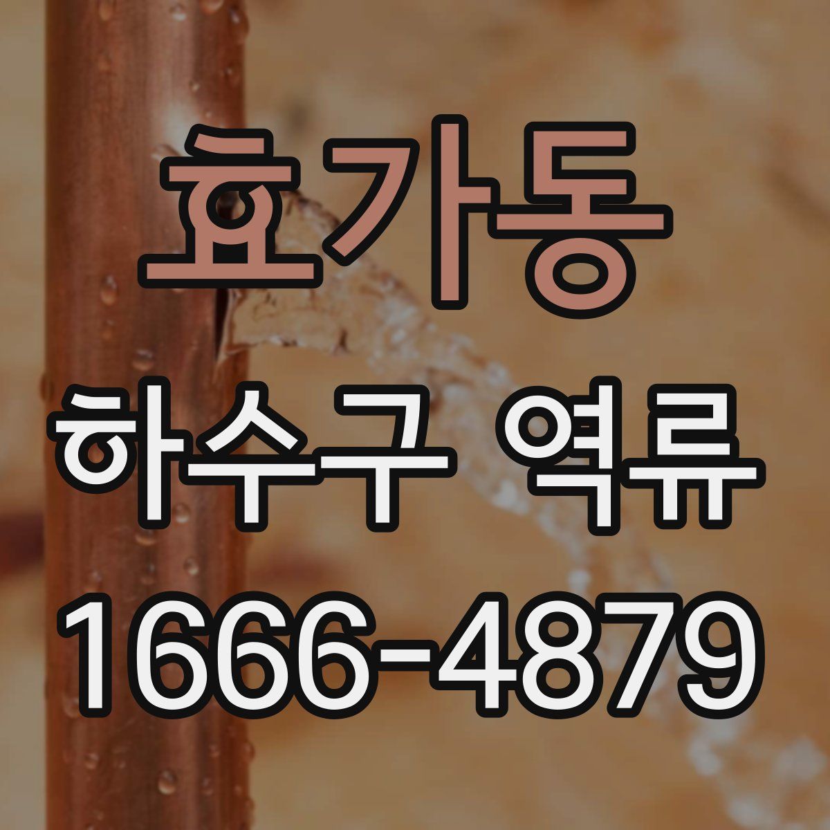 효가동 하수구 역류