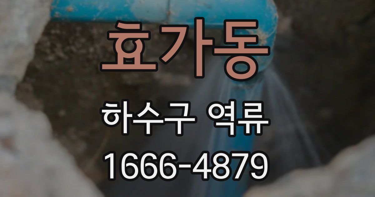 효가동 하수구 역류