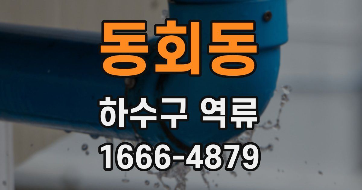 동회동 하수구 역류