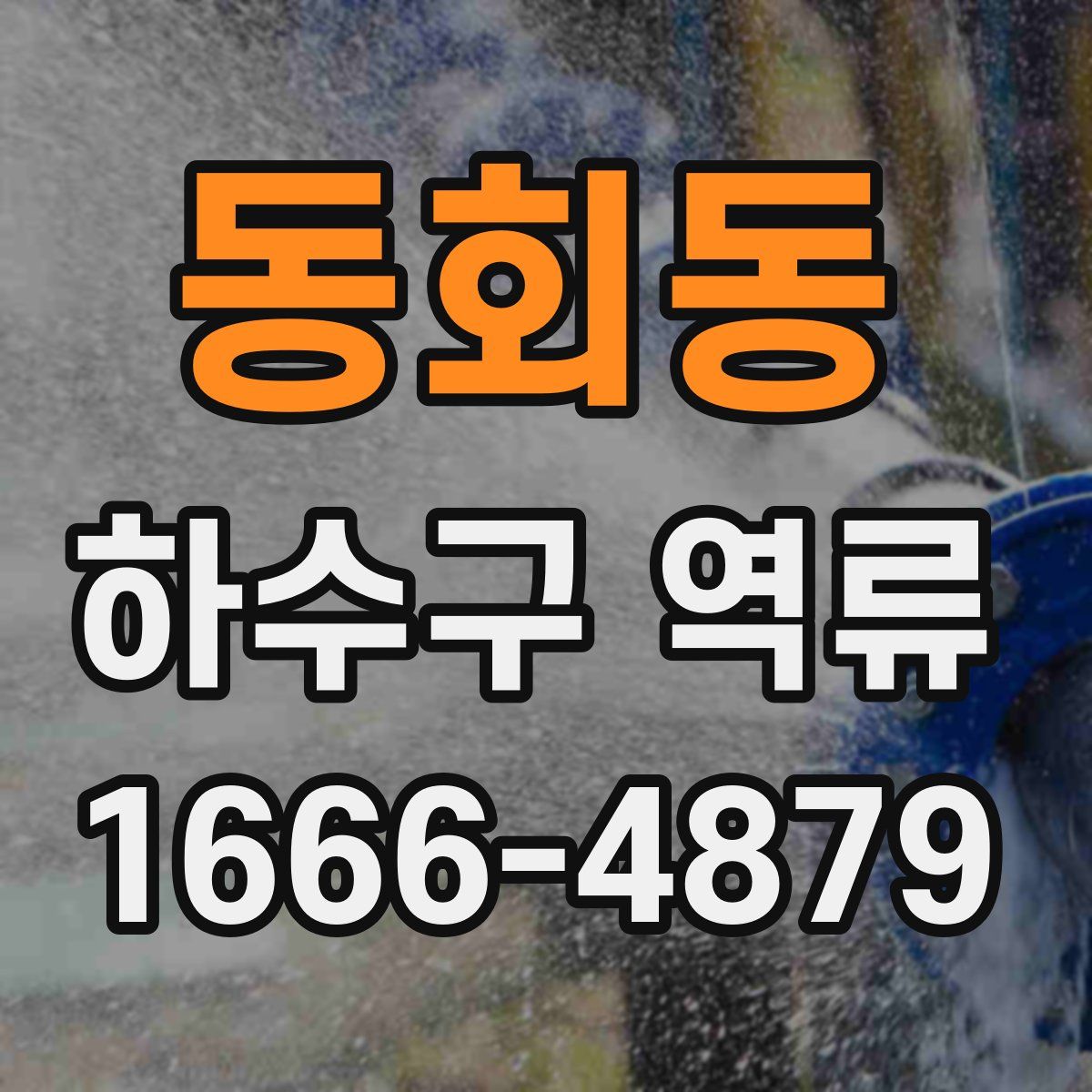 동회동 하수구 역류