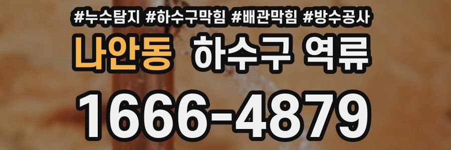 나안동 하수구 역류