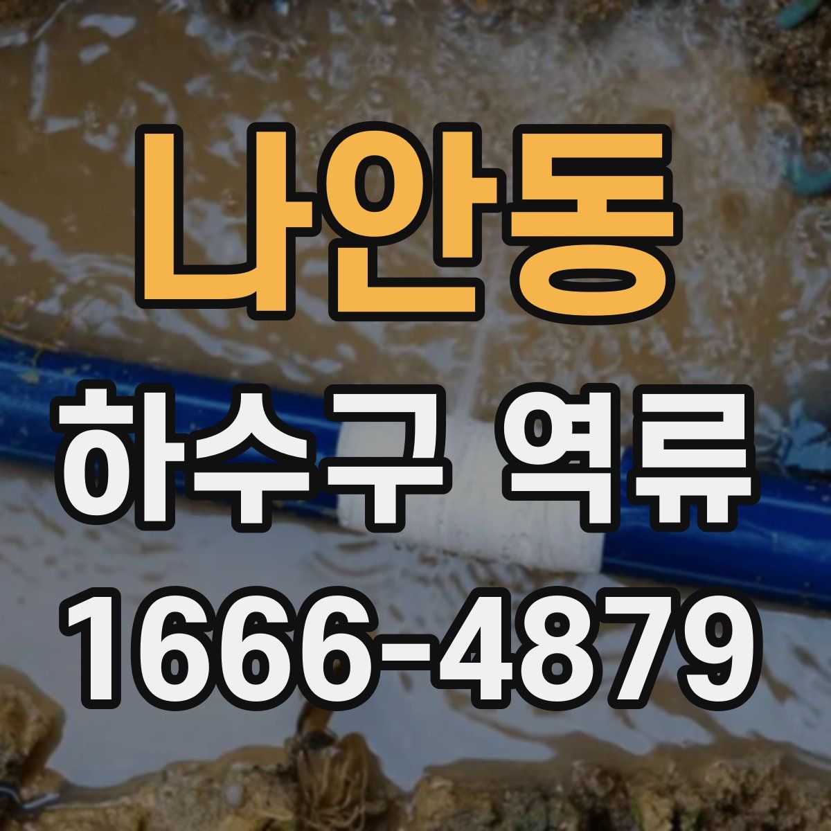 나안동 하수구 역류