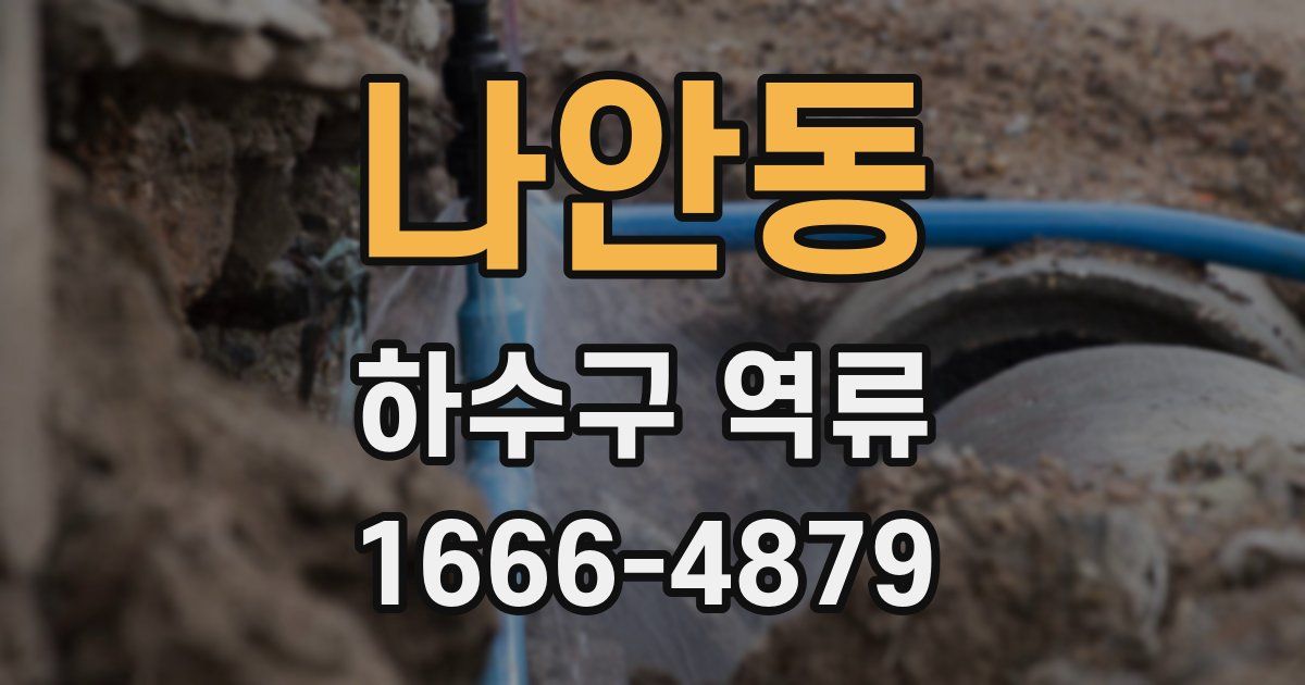 나안동 하수구 역류