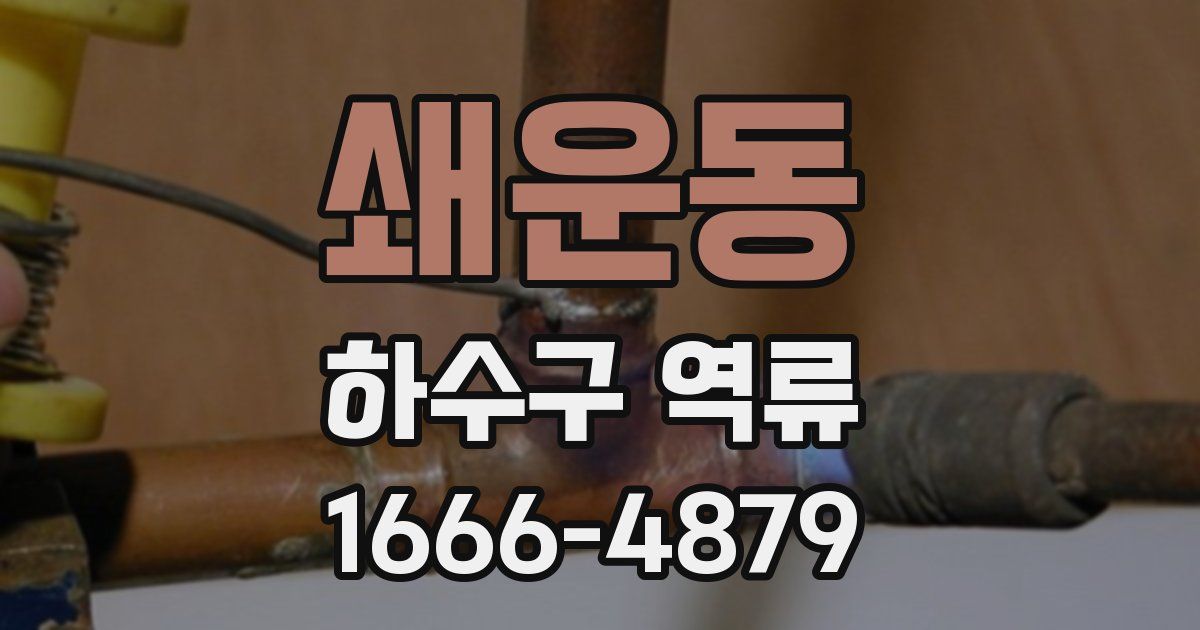 쇄운동 하수구 역류