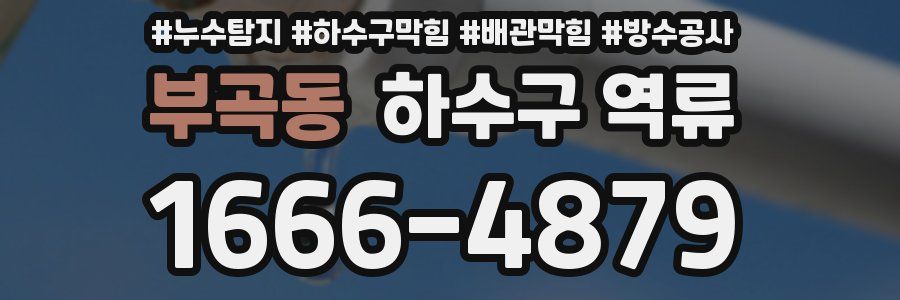 부곡동 하수구 역류
