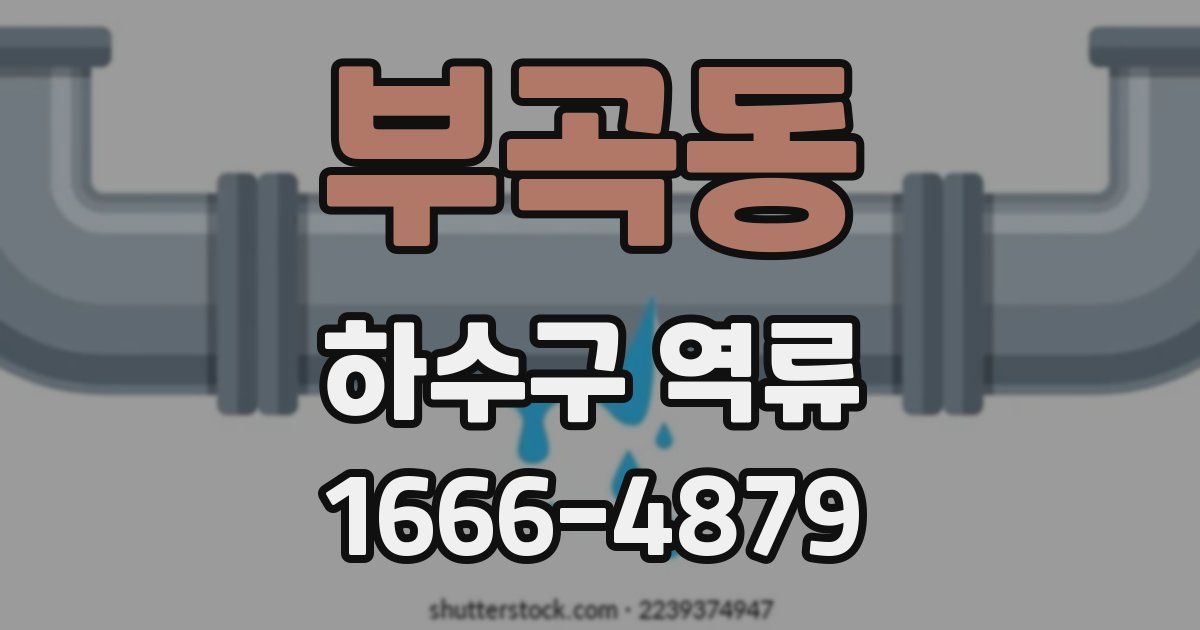 부곡동 하수구 역류