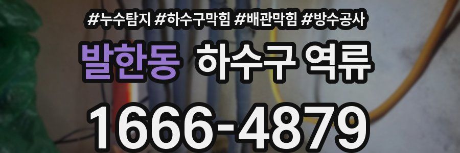 발한동 하수구 역류
