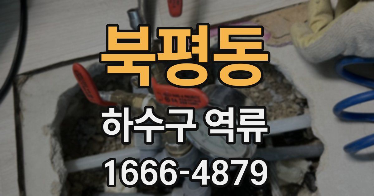 북평동 하수구 역류