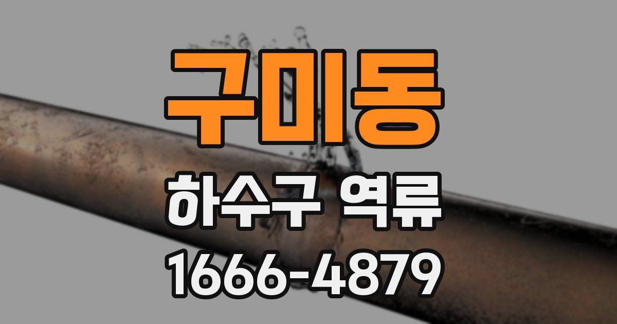 구미동 하수구 역류