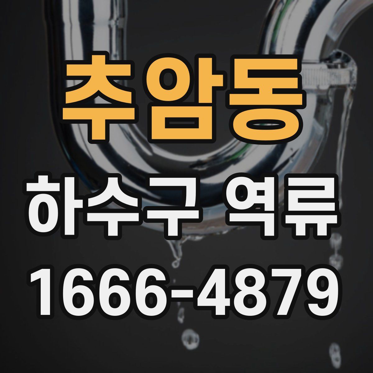 추암동 하수구 역류