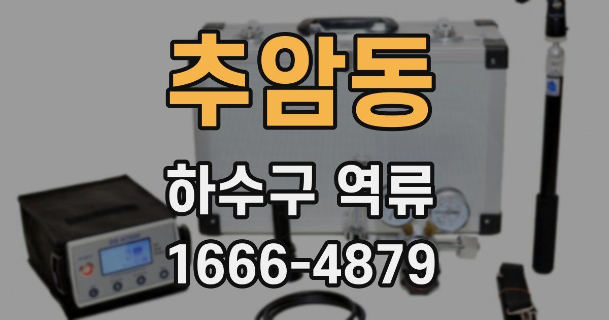 추암동 하수구 역류