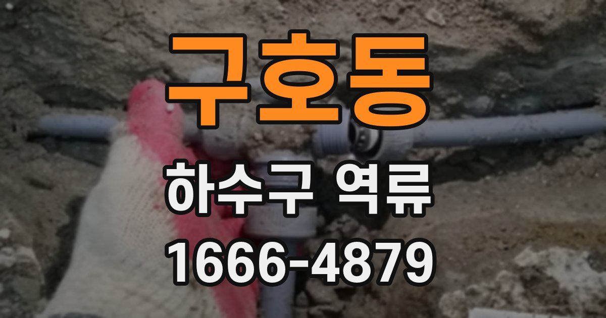 구호동 하수구 역류