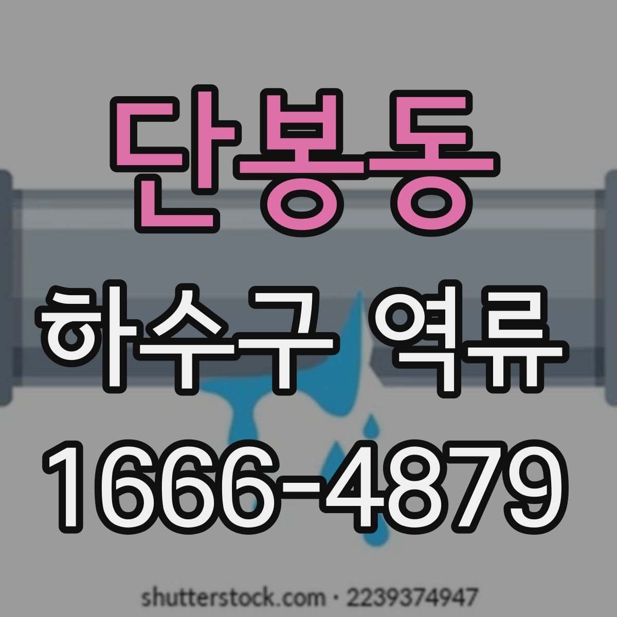 단봉동 하수구 역류