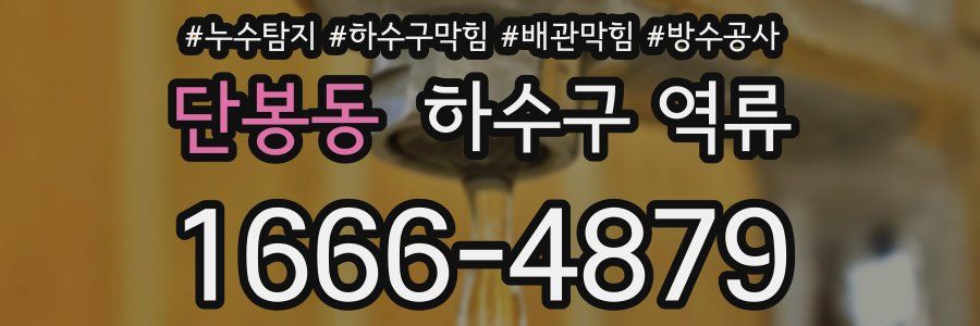 단봉동 하수구 역류