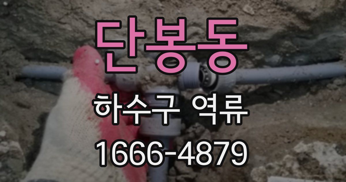 단봉동 하수구 역류