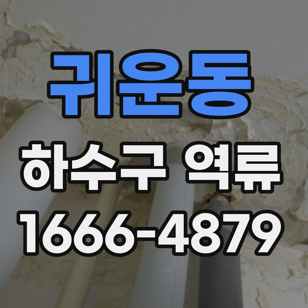 귀운동 하수구 역류
