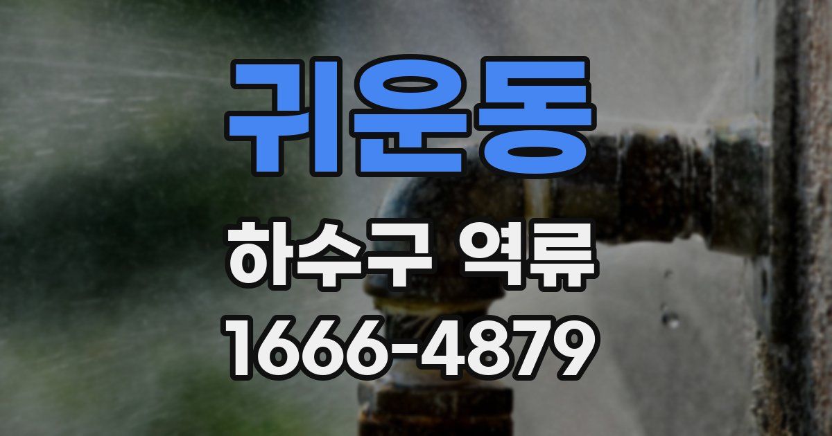 귀운동 하수구 역류