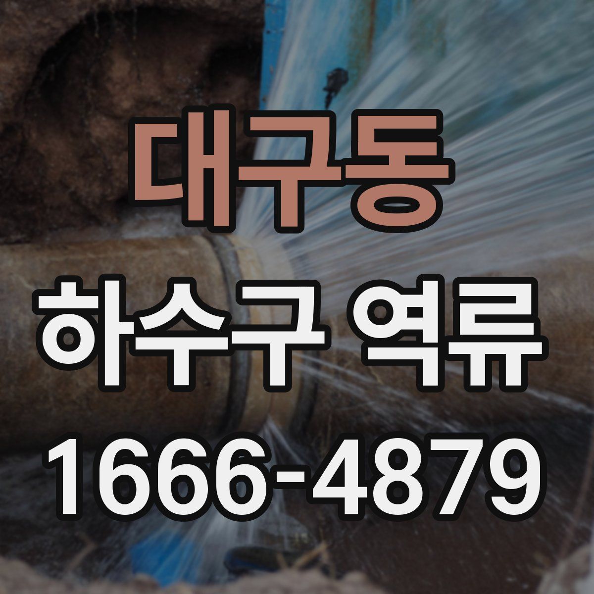 대구동 하수구 역류