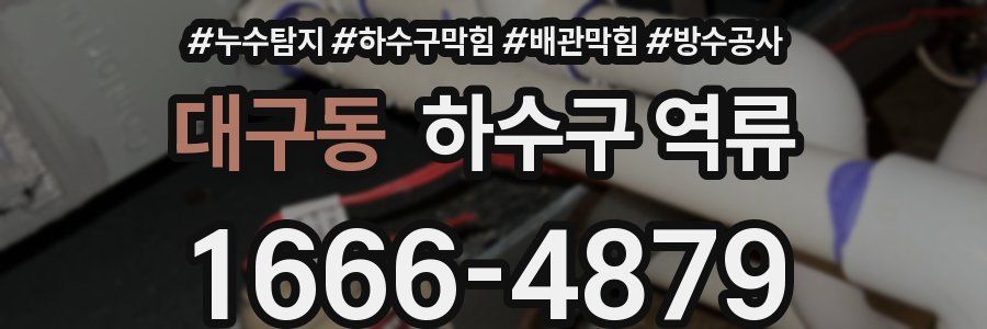 대구동 하수구 역류