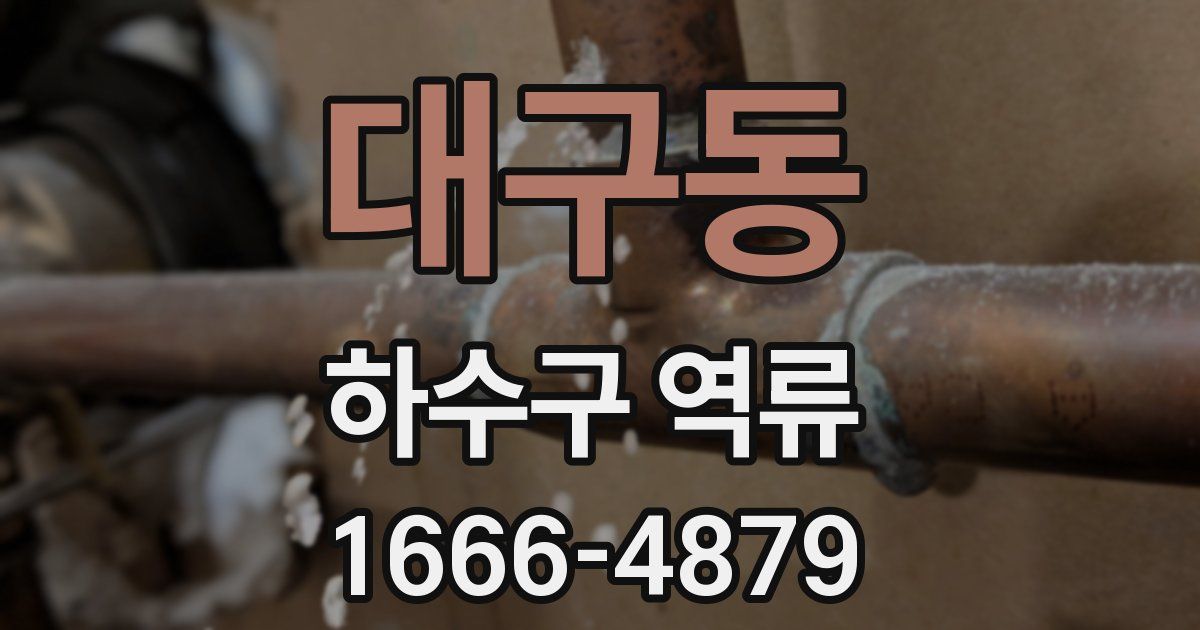 대구동 하수구 역류