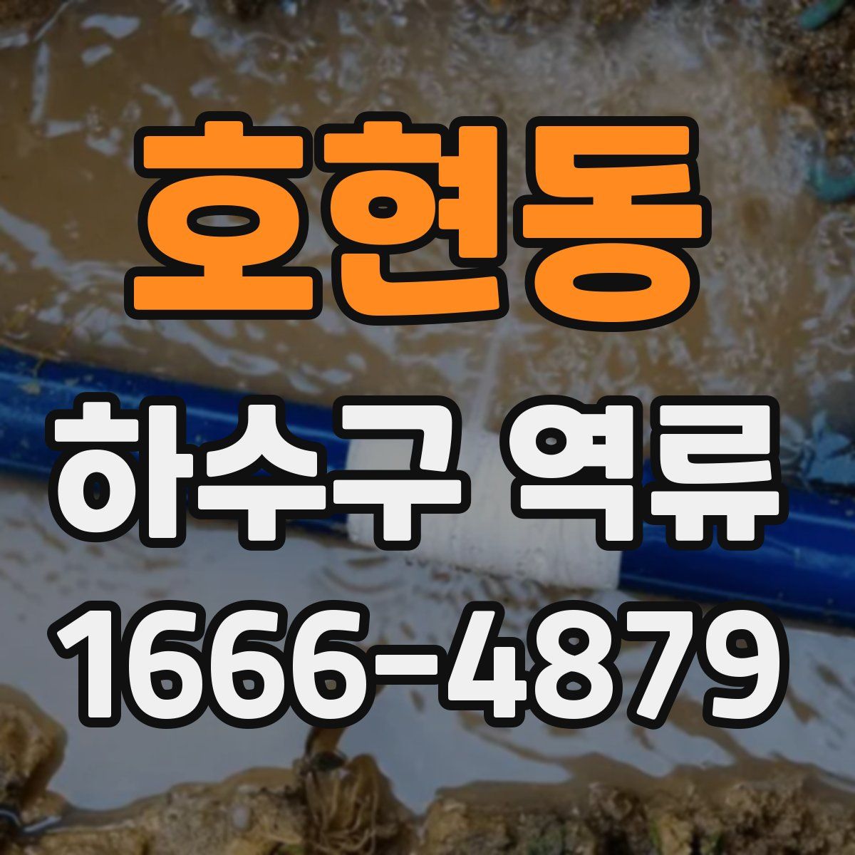 호현동 하수구 역류