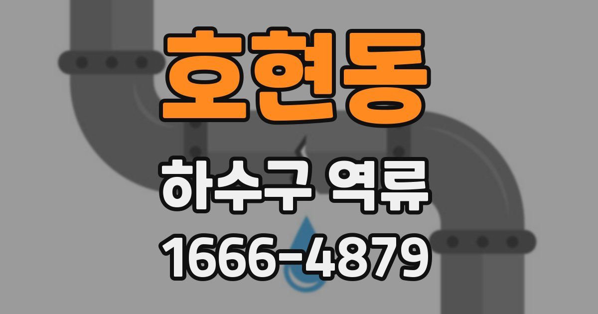 호현동 하수구 역류