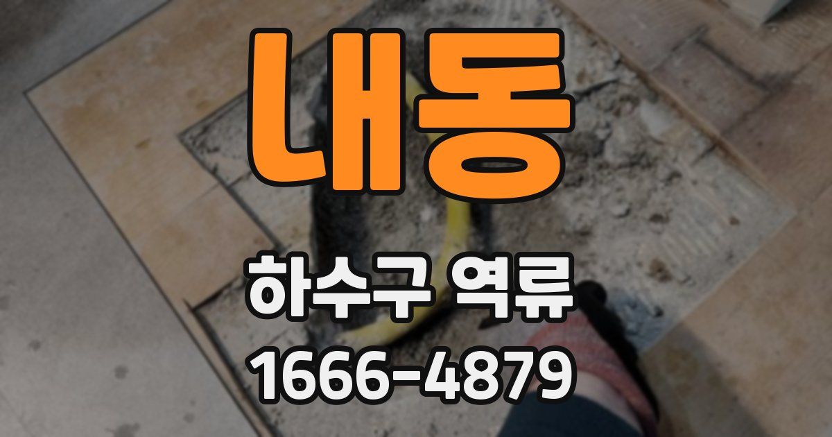 내동 하수구 역류
